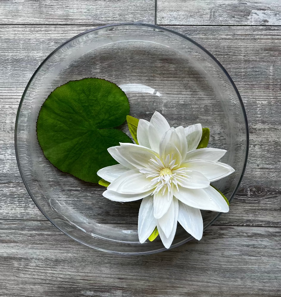 FLOR DE LOTO FLOTANTE