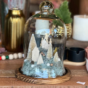 FANAL NAVIDEÑO MEDIANO