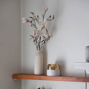 MAGNOLIA SOULANGEANA ROSA PALIDO 107 CM