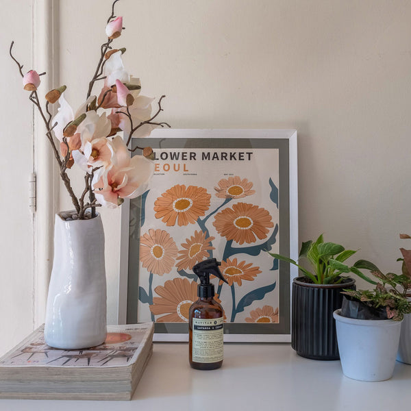 MAGNOLIA SOULANGEANA ROSA PALIDO 48 CM