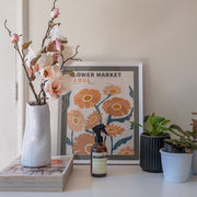 MAGNOLIA SOULANGEANA ROSA PALIDO 48 CM