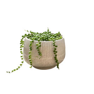 MACETERO POT PRIMA M