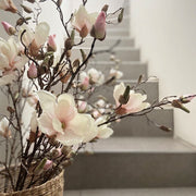 MAGNOLIA SOULANGEANA ROSA PALIDO 107 CM