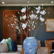 MAGNOLIA SOULANGEANA CREMA 107 CM