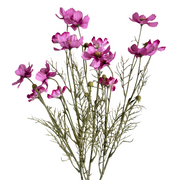 MIRASOL ROSADO 72 CM