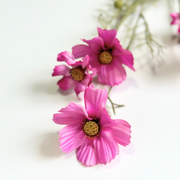 MIRASOL ROSADO 72 CM