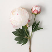 PEONÍA CREMA CON ROSADO 53 CM