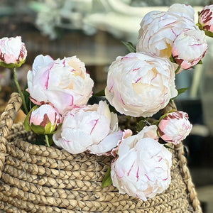 PEONÍA CREMA CON ROSADO 53 CM
