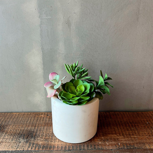 ARREGLO SUCULENTAS JADE