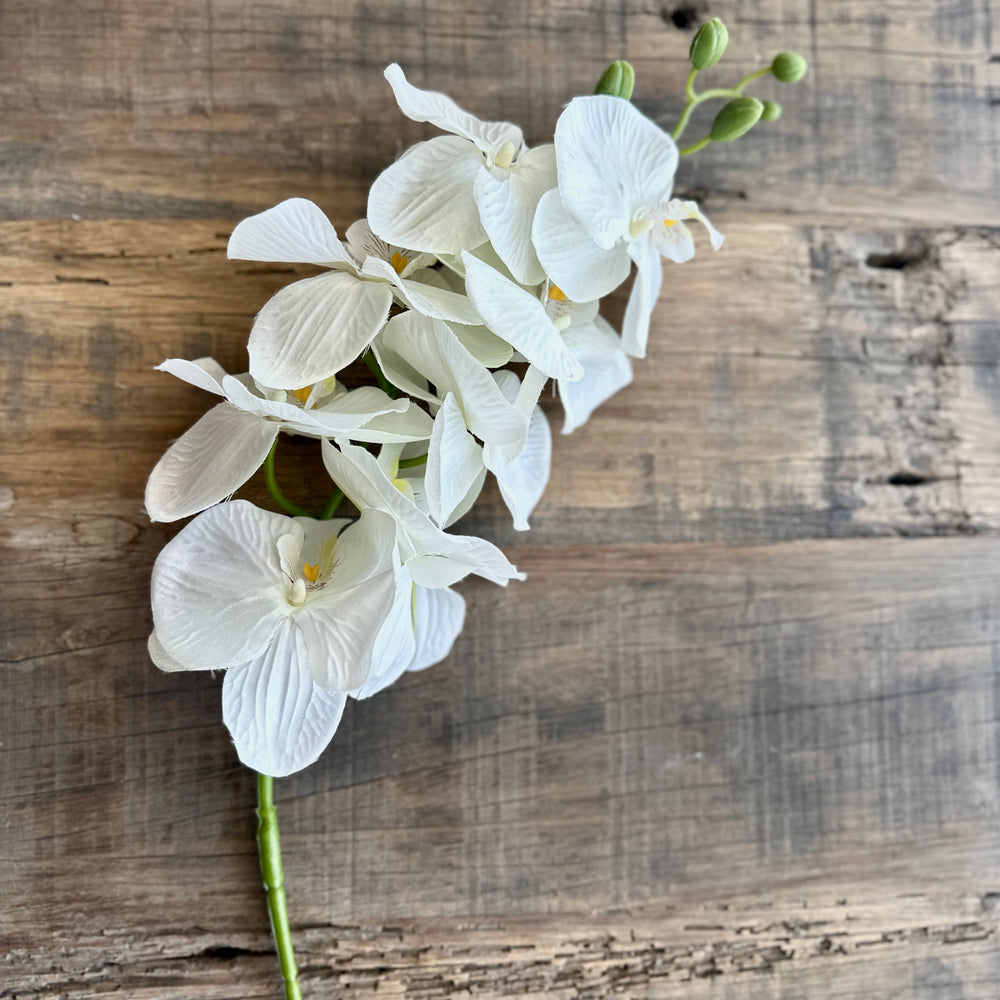 ORQUÍDEA BLANCA 110 CM