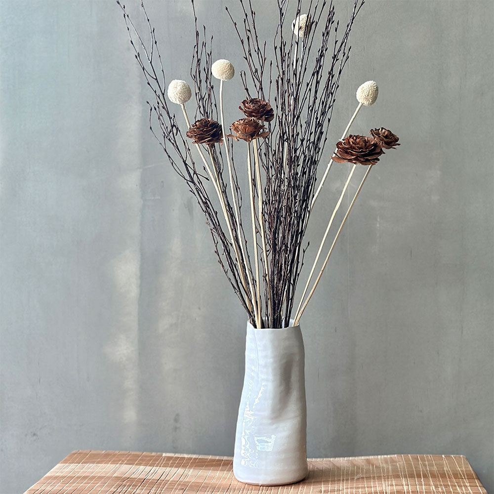 VARAS SECAS CRASPEDIA BLANCA (5)