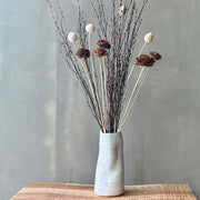 VARAS SECAS CRASPEDIA BLANCA (5)