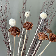 VARAS SECAS CRASPEDIA BLANCA (5)