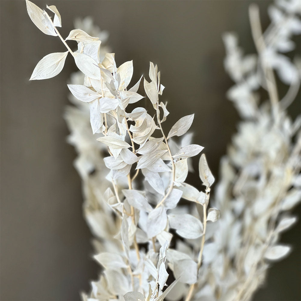 ARREGLO RUSCUS Y TEGAN VASE