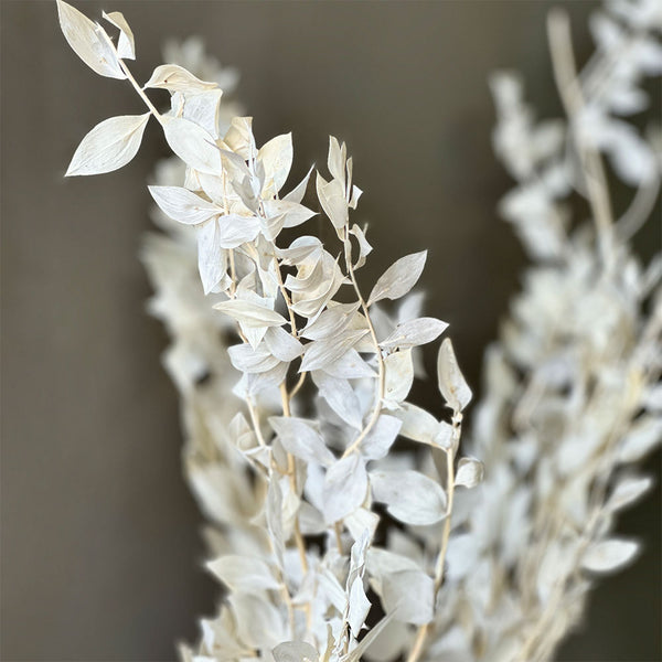 ARREGLO RUSCUS Y TEGAN VASE
