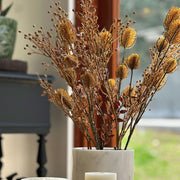 RAMA LINAZA CAFÉ 66CM