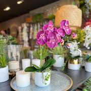 ORQUIDEA BURDEO 102 CM