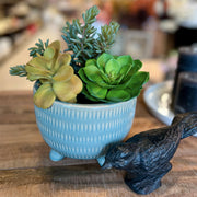 ARREGLO SUCUELENTAS ELLIOT