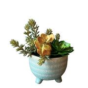 ARREGLO SUCUELENTAS ELLIOT