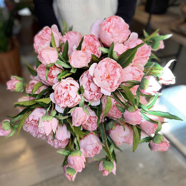 PEONÍA PALO ROSA 73 CM