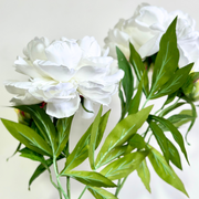 PEONÍA BLANCA ABIERTA 65 CM