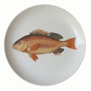 PLATO COMIDA PEZ NARANJO