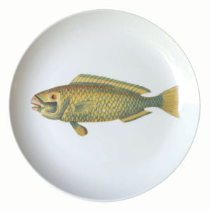 PLATO COMIDA PEZ VERDE