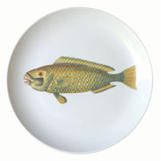 PLATO COMIDA PEZ VERDE