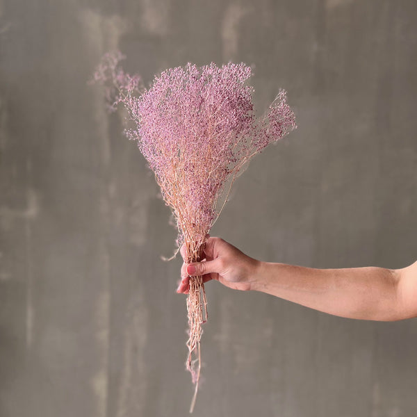 VARAS PRESERVADAS GIPSOFILIA MINI LAVANDA PASTEL