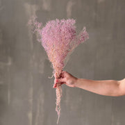 VARAS PRESERVADAS GIPSOFILIA MINI LAVANDA PASTEL