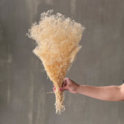 VARAS PRESERVADAS GIPSOFILIA MINI BLANCA