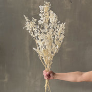 VARAS PRESERVADAS RUSCUS BLANCO