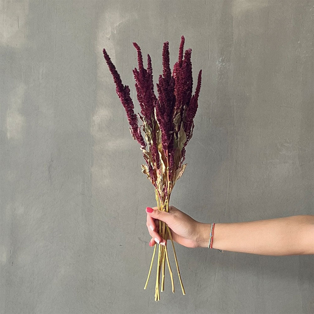 VARAS SECAS AMARANTO BURDEO