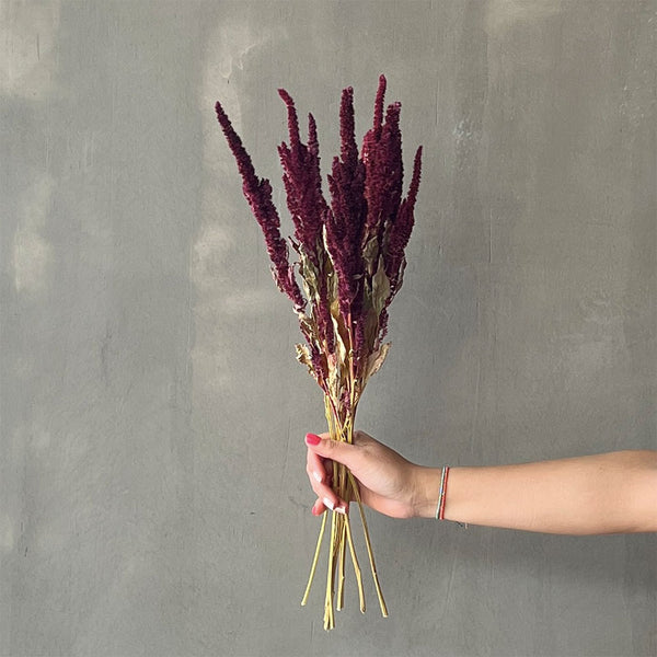 VARAS SECAS AMARANTO BURDEO