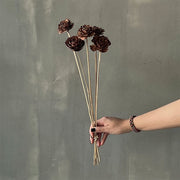 VARAS SECAS ROSA DE CEDRO