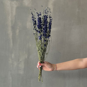 VARAS SECAS DELPHINIUM AZUL