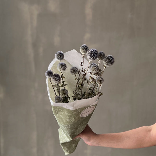 VARAS SECAS ECHINOPS