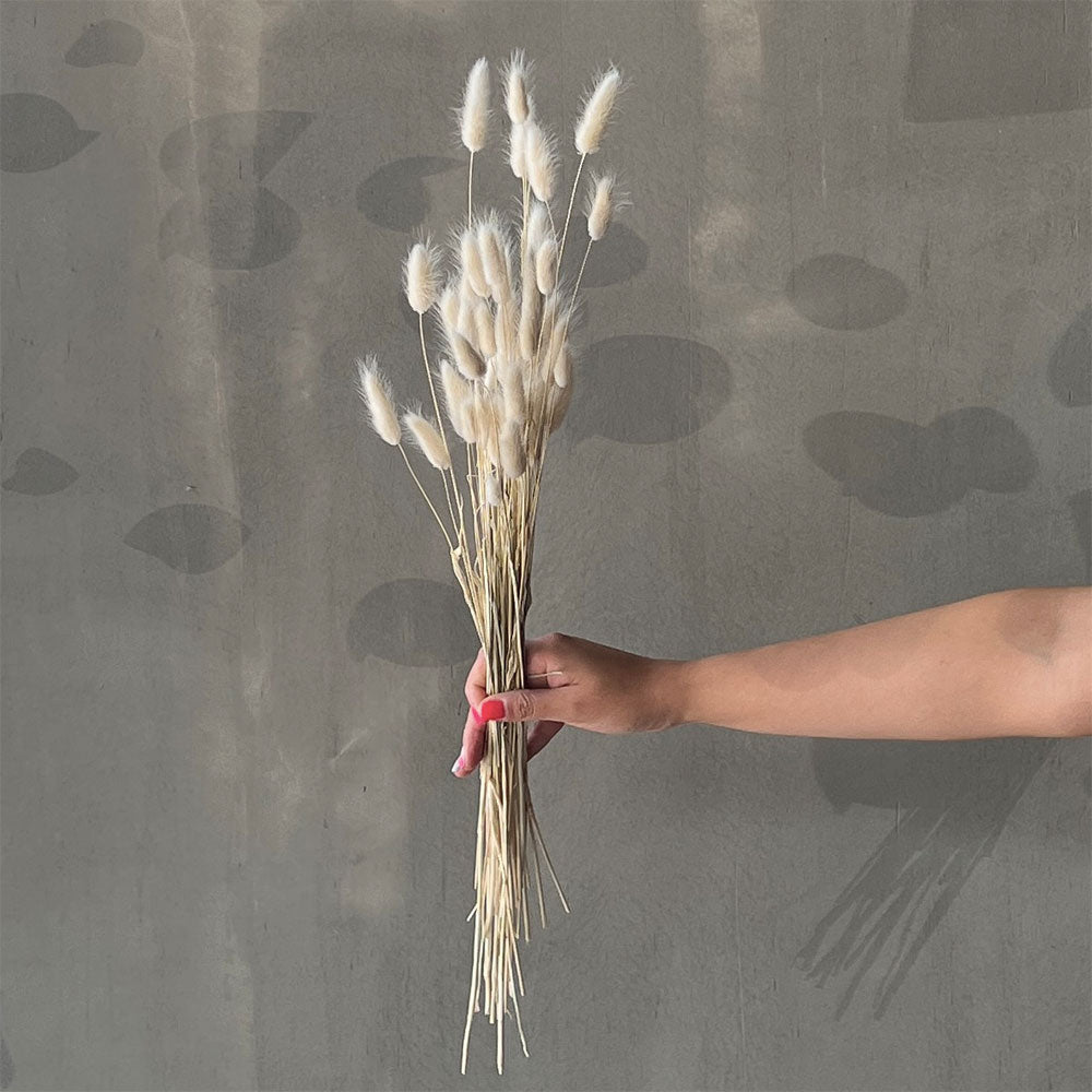 VARAS SECAS BUNNY TAIL BLANCO