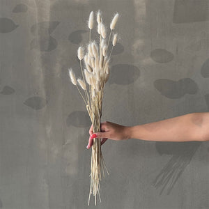 VARAS SECAS BUNNY TAIL BLANCO