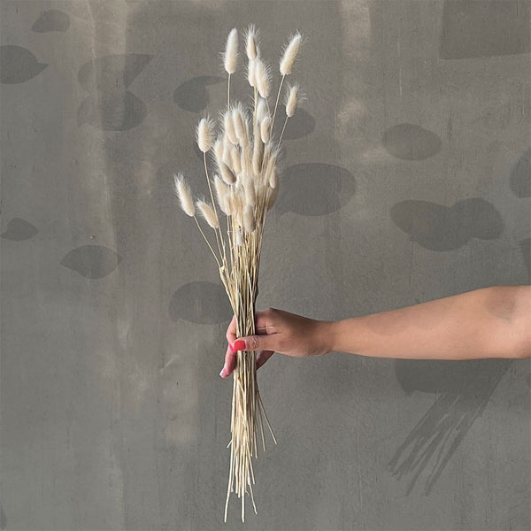 VARAS SECAS BUNNY TAIL BLANCO