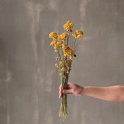 VARAS SECAS LONA AMARILLA