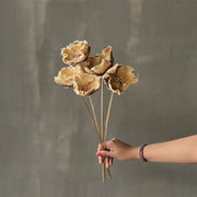 VARAS SECAS FLORES DE PALMERA BLANCA