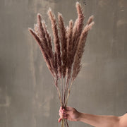 VARAS SECAS PAMPA MINI