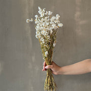 VARAS SECAS MINI RODANTE BLANCO