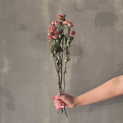 VARAS SECAS MINI ROSA ROSADA