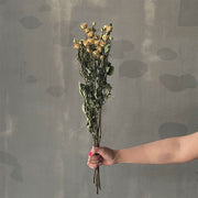 VARAS SECAS MINI ROSA BLANCA