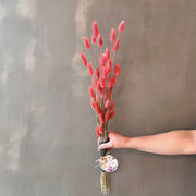 VARAS SECAS BUNNY TAIL ROSADO