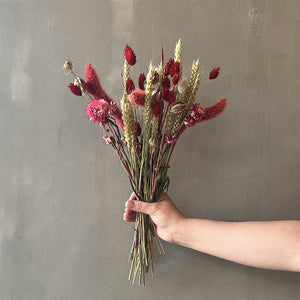 CUCURUCHO ROSE
