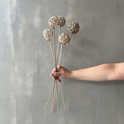 VARAS SECAS BOLAS DE MIMBRE