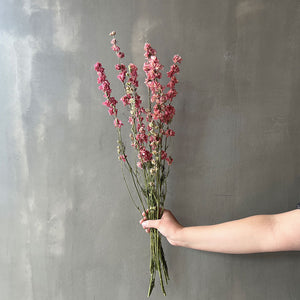 VARAS SECAS DELPHINIUM ROSADO
